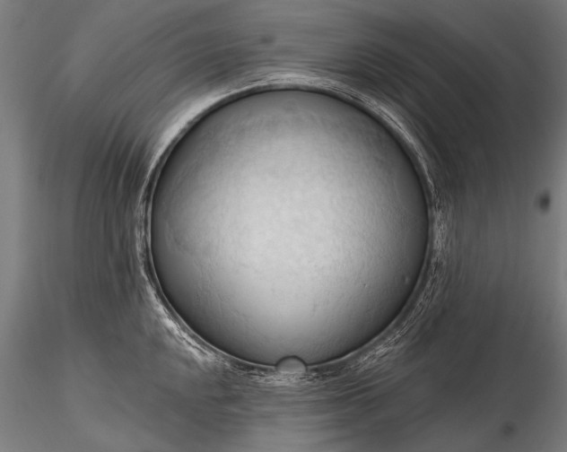 X0000116321048200912151238