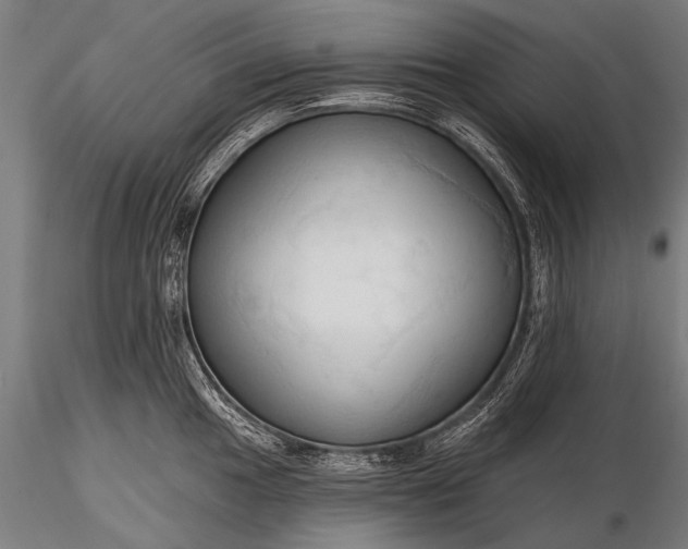 X0000116321049200912151238