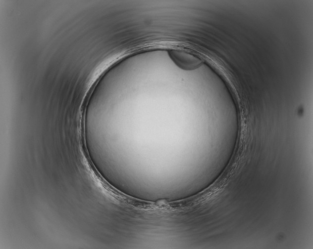 X0000116321050200912151238