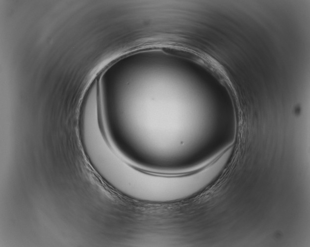 X0000116321051200912151238