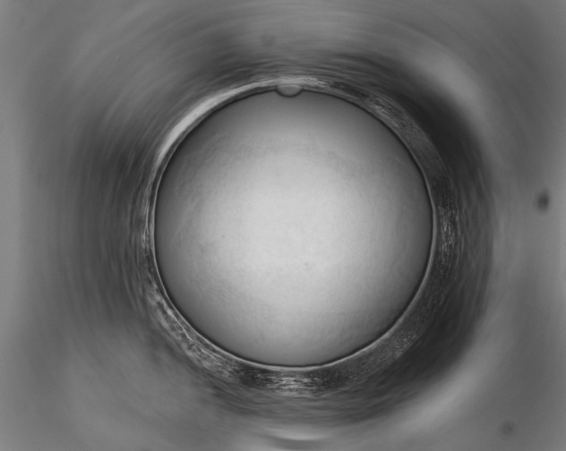 X0000116321052200912151238