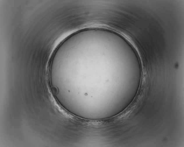 X0000116321053200912151238