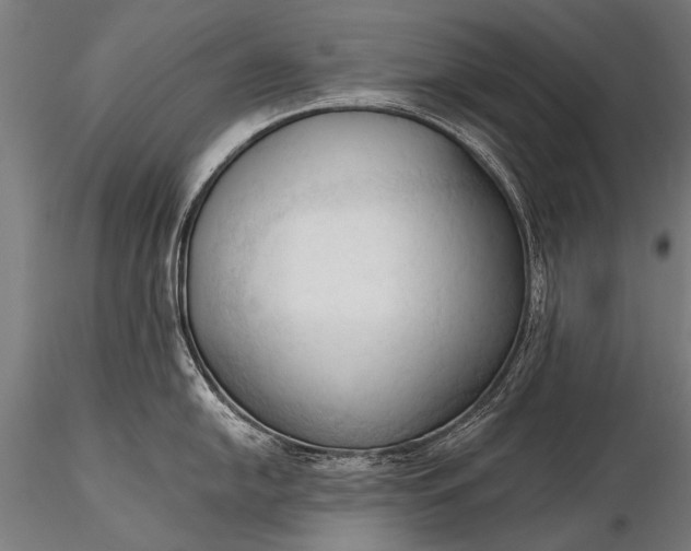 X0000116321054200912151238