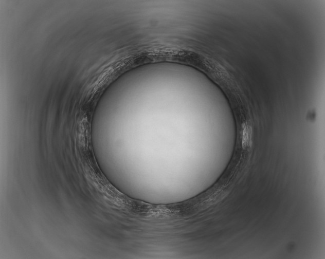 X0000116321059200912151237