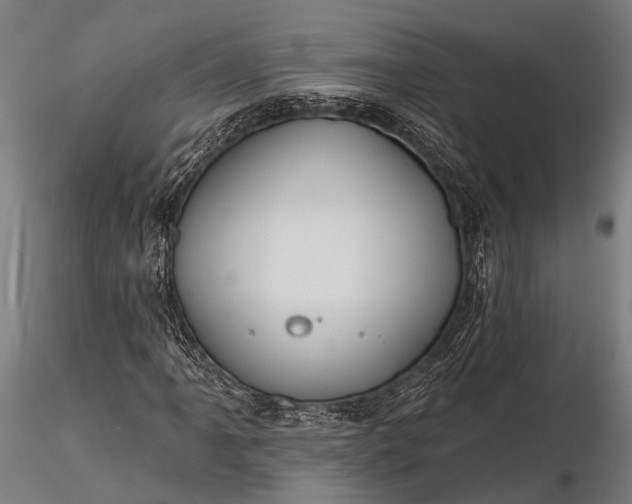 X0000116321061200912151237