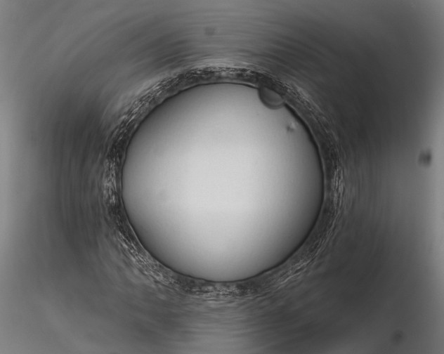 X0000116321062200912151237