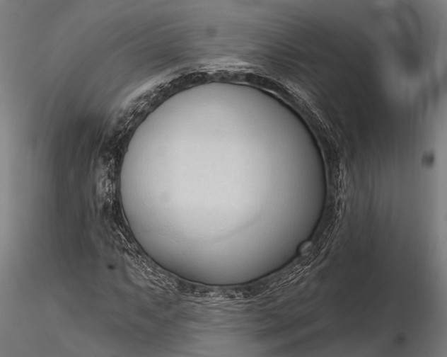 X0000116321063200912151237