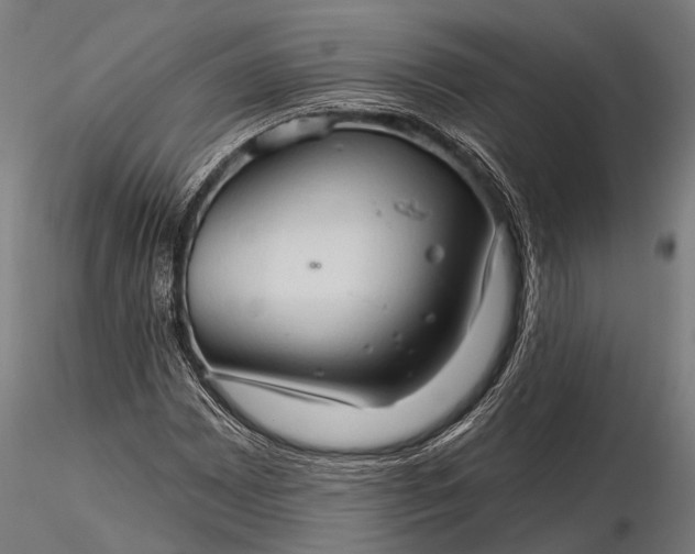 X0000116321065200912151237