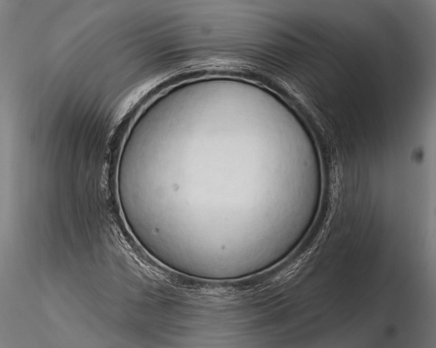 X0000116321066200912151237