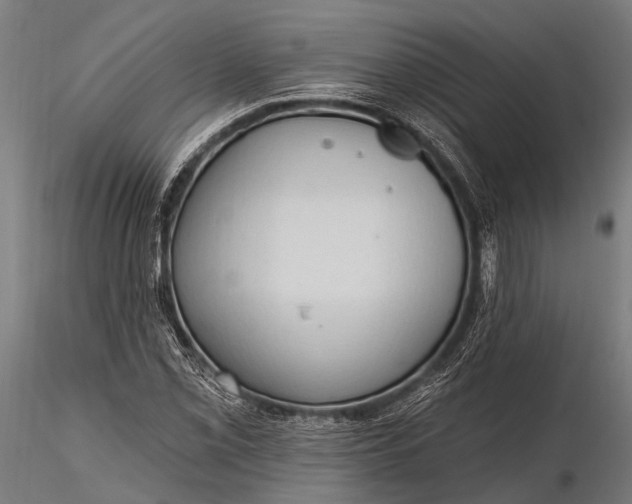 X0000116321069200912151237