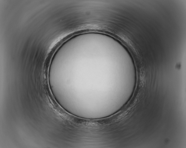 X0000116321070200912151237