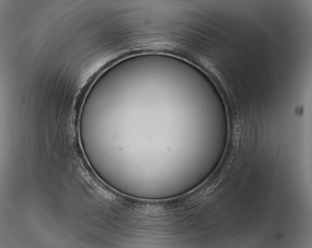 X0000116321071200912151237