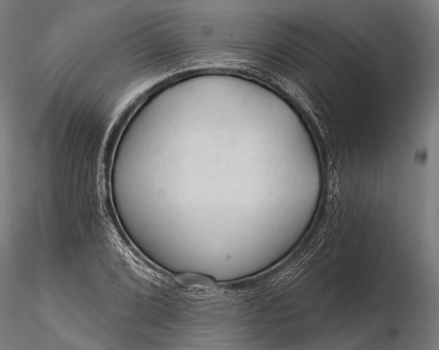 X0000116321072200912151237