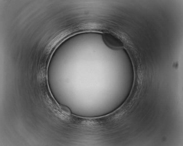 X0000116321073200912151237