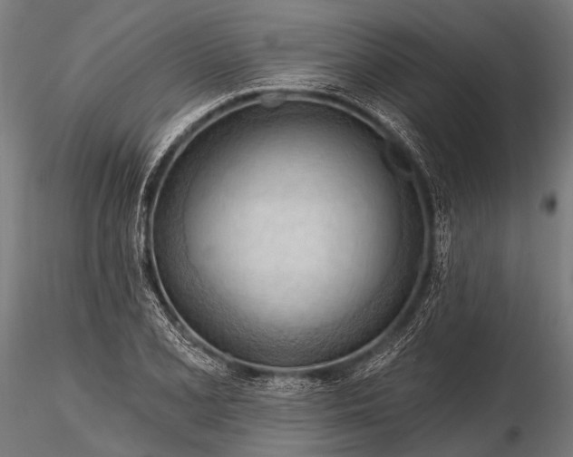 X0000116321077200912151237