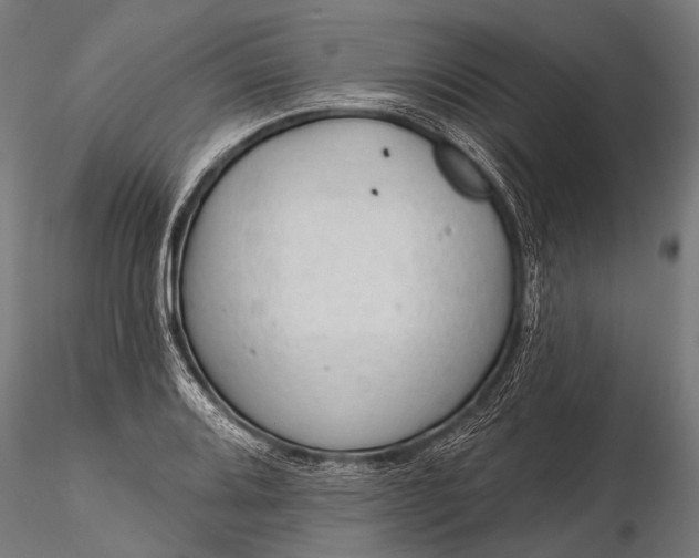 X0000116321080200912151237