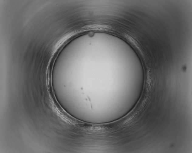 X0000116321082200912151237