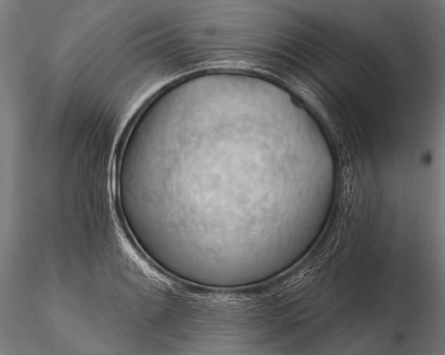 X0000116321084200912151237