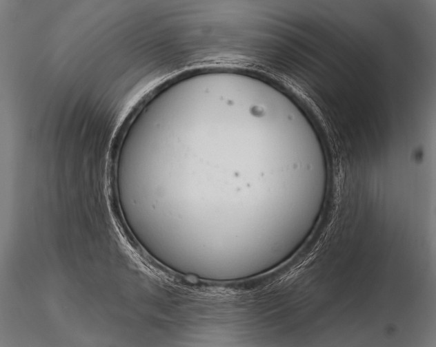 X0000116321085200912151237