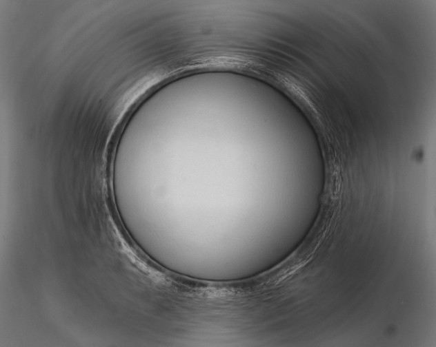 X0000116321087200912151237