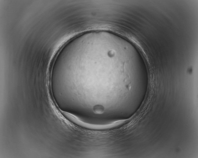 X0000116321088200912151237