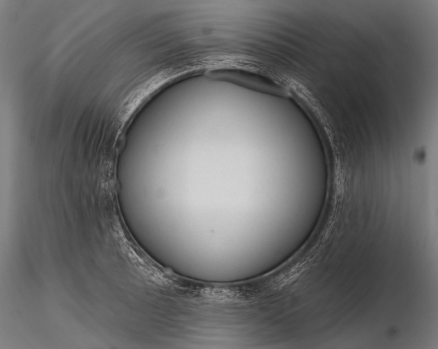 X0000116321089200912151237