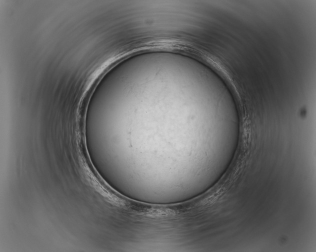 X0000116321091200912151237