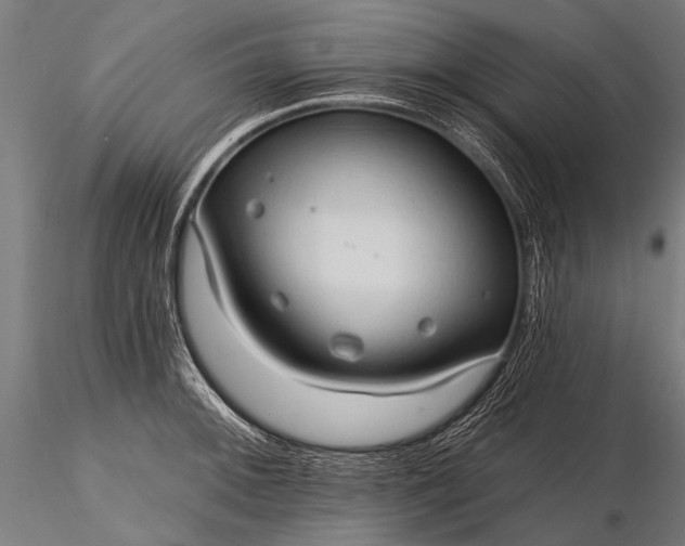 X0000116321092200912151237