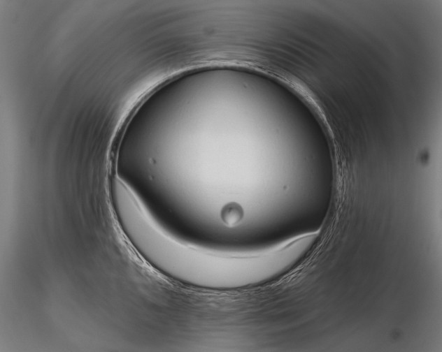 X0000116321096200912151237