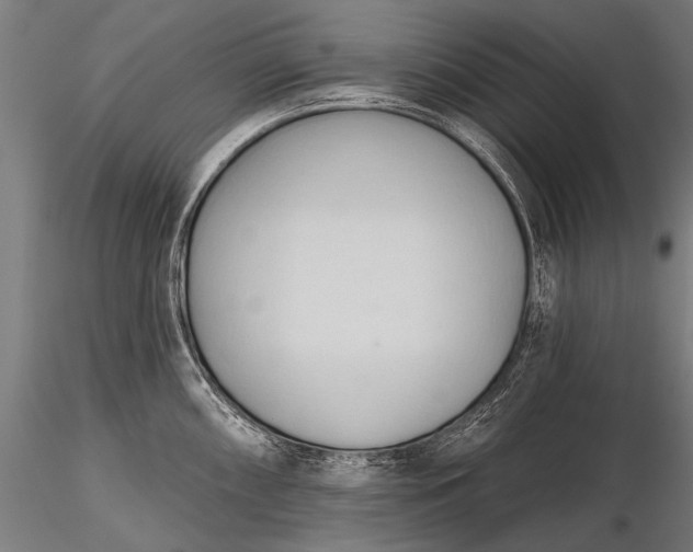 X0000116321098200912151237