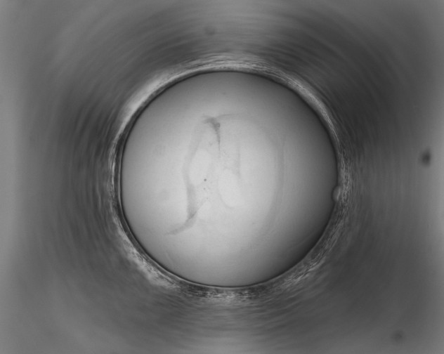 X0000116321099200912151237