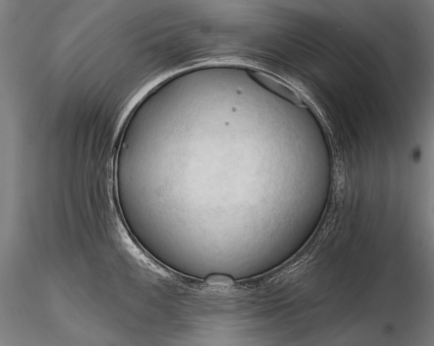 X0000116321100200912151237