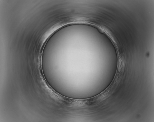 X0000116321101200912151237