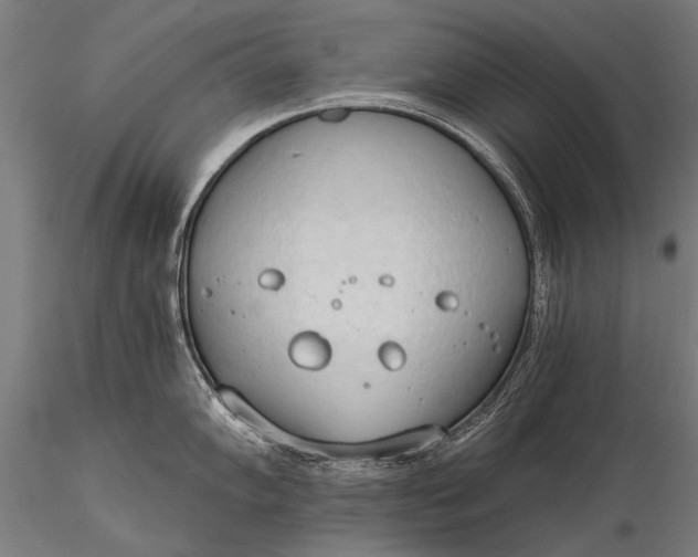 X0000116321102200912151237