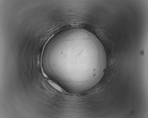 X0000116321106200912151236