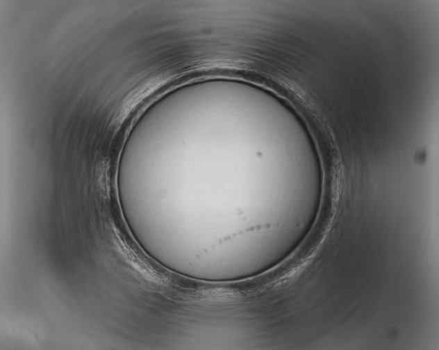 X0000116321113200912151236