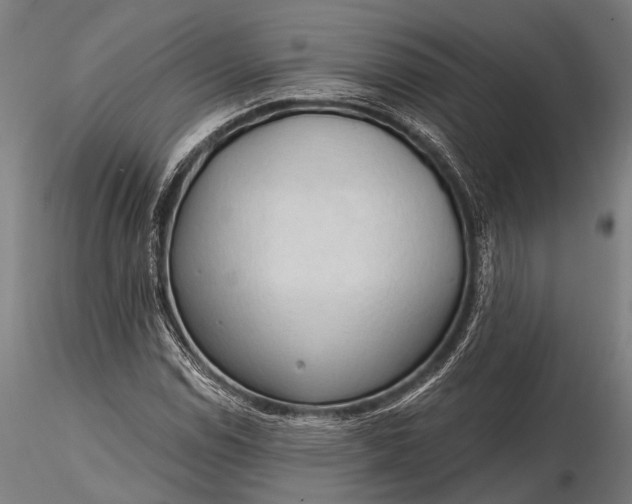 X0000116321114200912151236