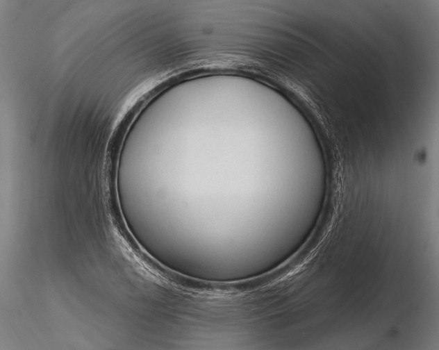 X0000116321122200912151236