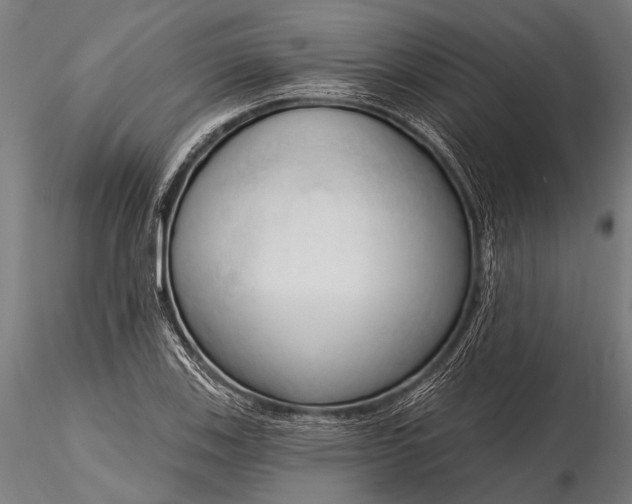 X0000116321123200912151236