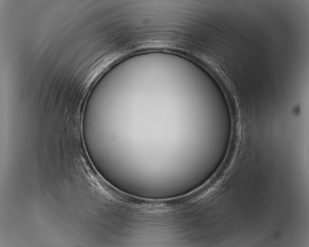 X0000116321129200912151236