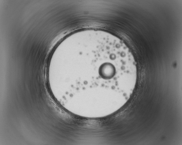 X0000116321130200912151236