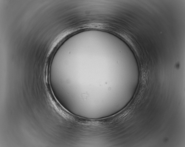 X0000116321131200912151236