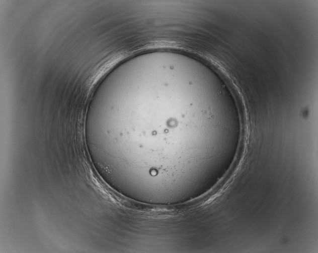 X0000116321137200912151236