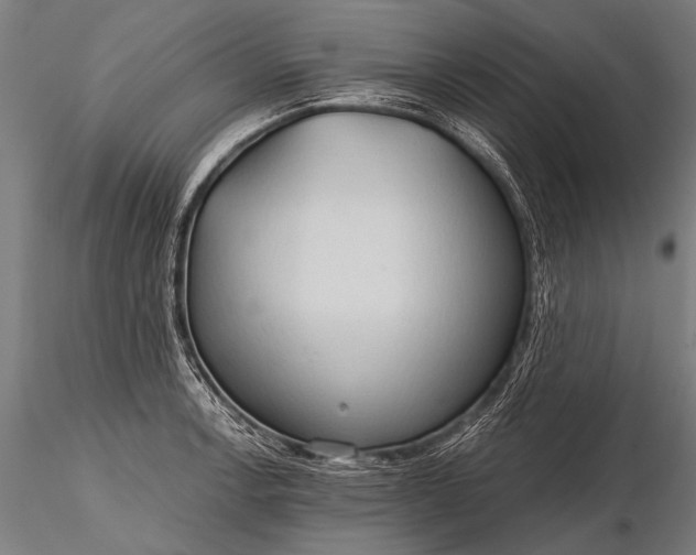 X0000116321138200912151236