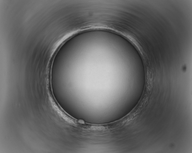 X0000116321142200912151236