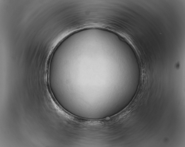 X0000116321143200912151237