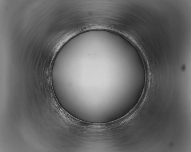 X0000116321145200912151237