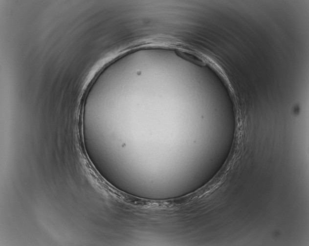 X0000116321146200912151237