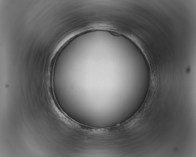 X0000116321147200912151237