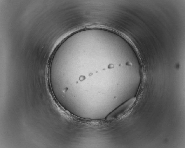 X0000116321149200912151237